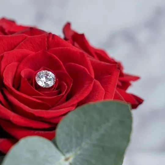 Caja pote black con rosas rojas corazon 